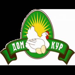 Фарш обыкновенный Дом Кур "Курочка домашняя"