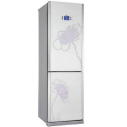 Холодильник LG GA-B409TGAT Art Flower