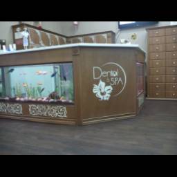 Медицинский центр "Dental & Spa" (Россия, Томск)