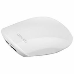 Портативный аккумулятор Canyon CNA-C05030