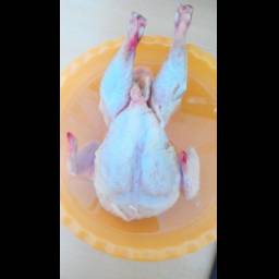 Тушка цыпленка бройлера "Мясокур"