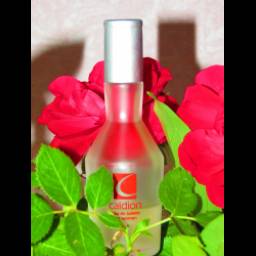 Женский парфюм Caldion for Women