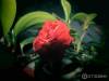 Фото 5