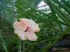 Фото 6