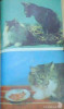 Фото 6