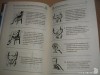 Фото 3 - Книга "Как читать человека по лицу, почерку, позе, мимике, жестам" - В. Б. Шапарь Фото 3